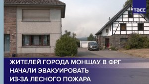 Жителей города Моншау в ФРГ начали эвакуировать из-за лесного пожара
