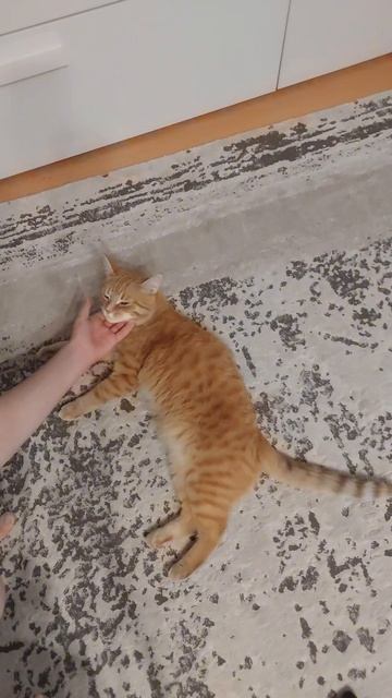 Кайфули