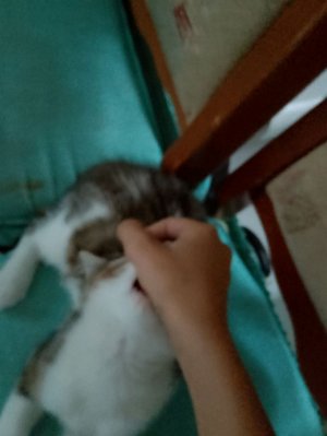 убираюсь дома и собираюсь в город