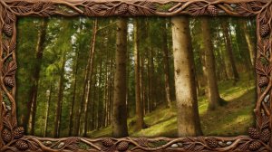 🌿 Звуки леса — утренняя релаксация.