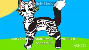 Почему я убила котят магической лапки
