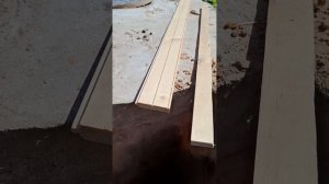 1000067286.mp4 (Собака слушает о технологии устройства канализации в сливную яму у дома А-фрейм)