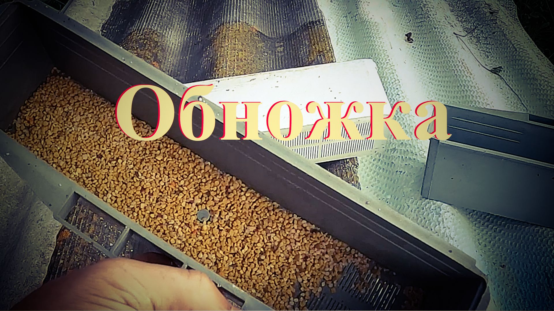 Обножка в агусте после главного взятка