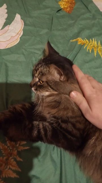 Скотланд