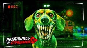 Я разоблачил самую опасную собаку в мире!