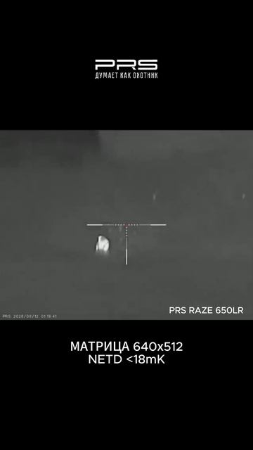 Охота на кабана с тепловизором ночью