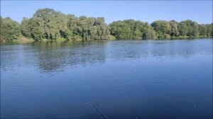 Рыбалка на Дону, спиннинг , мкр. Малышево, город Воронеж, 14.08.2026 года