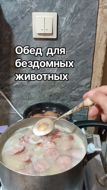 Готовлю обед бездомным животным