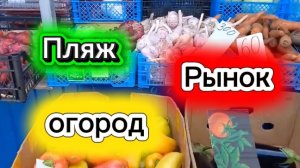 Пляж. Рынок. Огород.