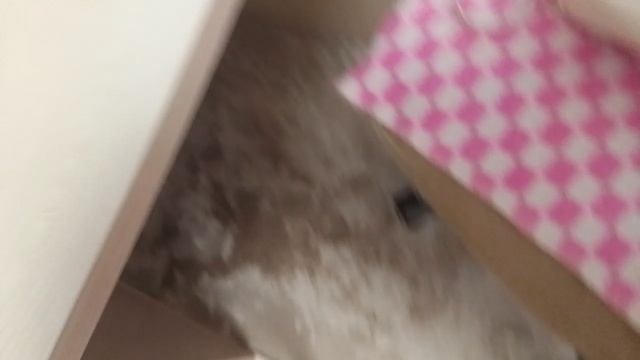 Аня упала с кровати 😭 мы поехали в травмпункт 😭😭😭😭😭