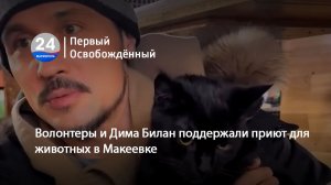 Волонтеры и Дима Билан поддержали приют для животных в Макеевке. 17.08.2026