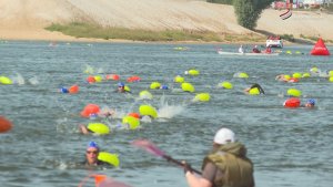 В Серпухове впервые прошёл этап Кубка Чемпионов Swimcup