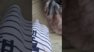 1000001220.mp4