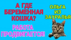 А ГДЕ БЕРЕМЕННАЯ КОШКА. ОЛЬГА ИЗ ЗАУРАЛЬЯ.