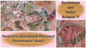 Болталка про Хойи! Выпуск 1! Получили Шикарную Посылку! Распаковка! Хоий!