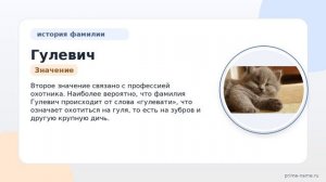 Фамилия Гулевич: происхождение, значение и склонение