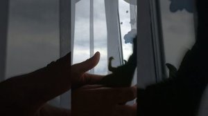 обзор