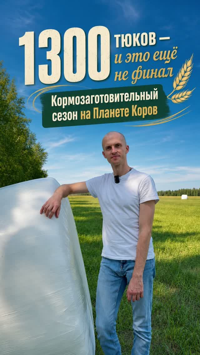 Кормозаготовка продолжается