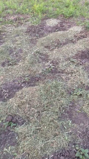 Сын не разрешает😁 но я отпускаю✅