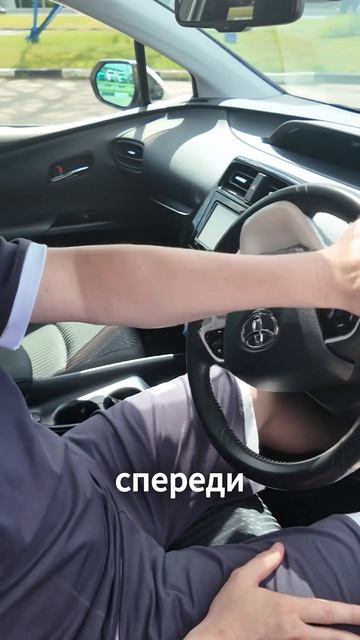 Даже лошадь поместится - Toyota Prius!