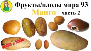 Фрукты - плоды мира 93 – Манго часть 2 Сыроедение Фрукторианство