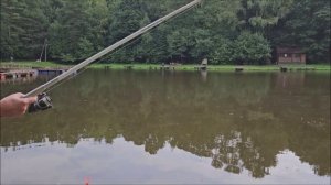 Поимки карпа на Верхнем водоёме. Клёвое место лосиный остров.