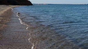 Чистое августовское море... послушайте, как дышит! (после чайки)