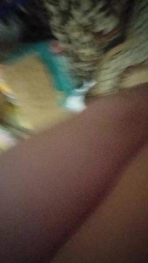 пр захади на мою трансляцию