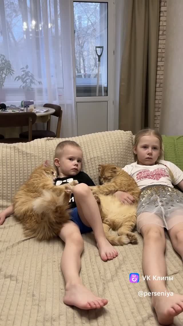 дети и кошки))