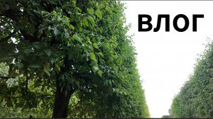 Влог 15.08.2026: гуляем по Санкт-Петербургу, гуляем по парку Петергоф.