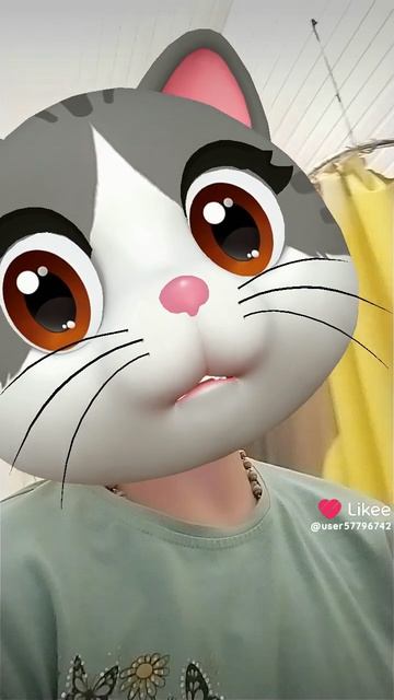 котик.mp4
