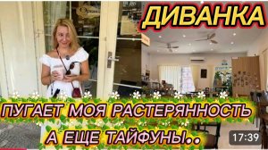 САМВЕЛ АДАМЯН, МИСС ВОНГ, ПУГАЕТ МОЯ РАСТЕРЯННОСТЬ, А ЕЩЁ ТАЙФУНЫ.. 🤨🤨