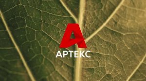 Коллекция обоев «Ретрит»