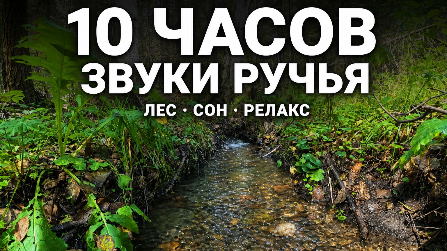 10 часов звуков ручья | Лес и река для сна, учёбы и релакса