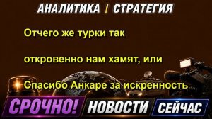 Отчего же турки так откровенно нам хамят, или Спасибо Анкаре за искренность