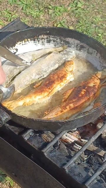 Сковородка шепчет