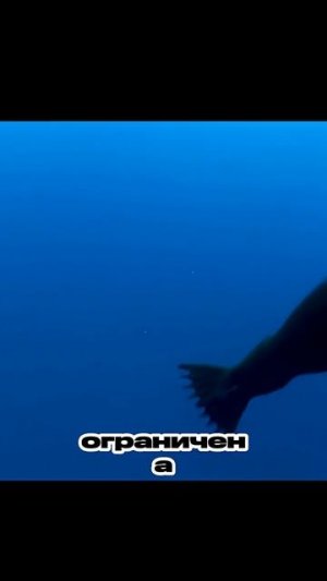 Почему Титаник затонул