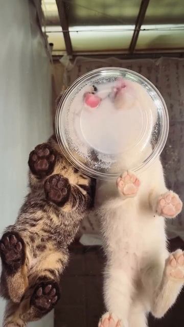 Вкуснятина.