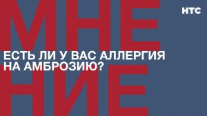 Мнение: Есть ли у вас аллергия на амброзию?