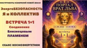 ЭнергоБЕЗОПАСНОСТЬ. Я и КОЛЛЕКТИВ. ВСТРЕЧА 1+1. Соединение Близнецовым Пламенем.