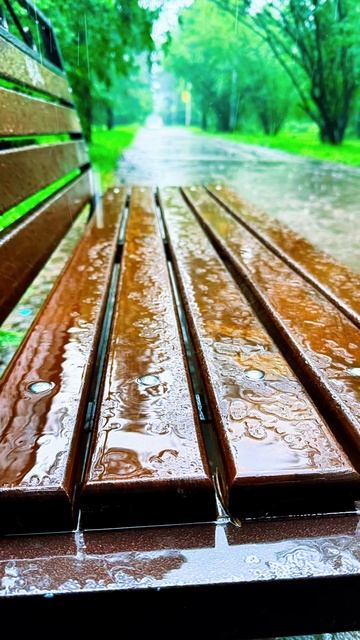 Дождливое лето ☔️