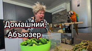 Уралочка не мать,бедный Абду,  а я вам говорила