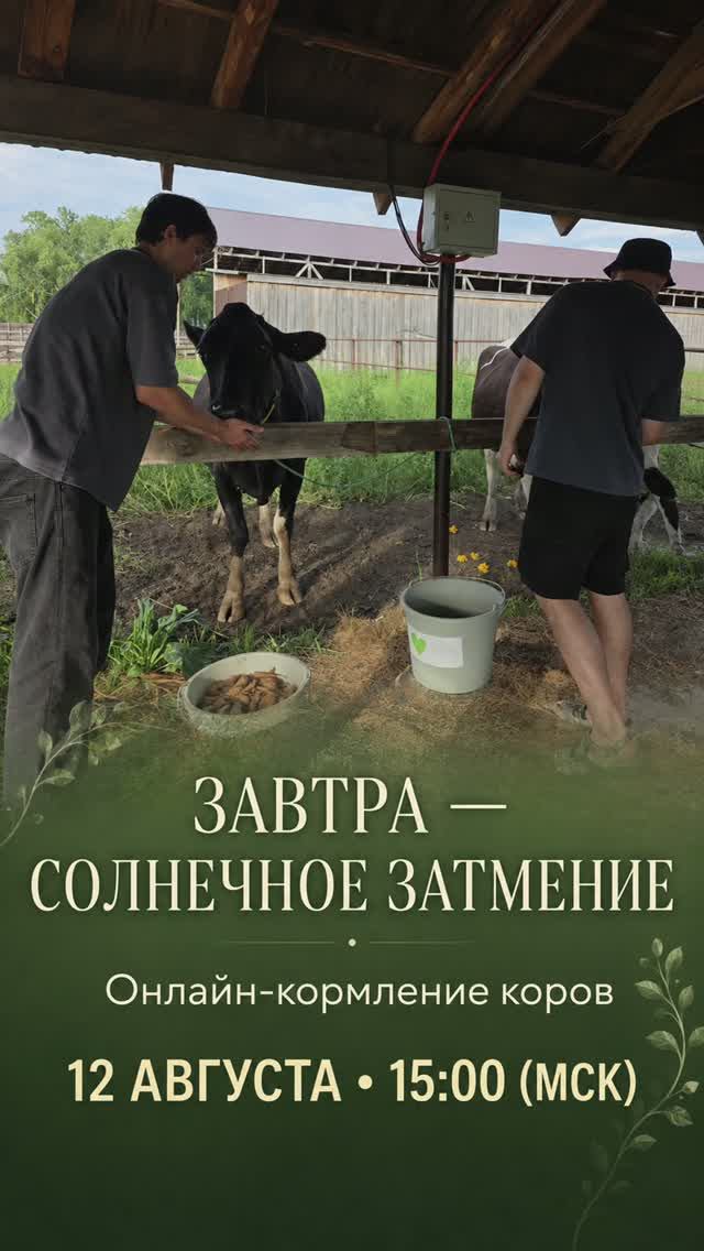 ☀️ 12 августа — день солнечного затмения