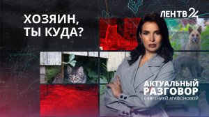 Питомец на лето: почему люди бросают животных после дачного сезона