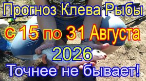 Календарь клева рыбы на вторую половину августа 2026   Когда клюет лучше всего Лунный Календарь 2026