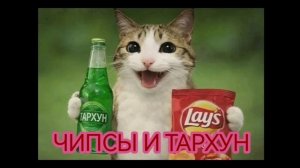 чипсы и тархун  fonk (фонк)