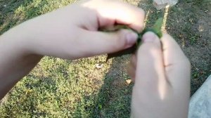 асмр в деревне, на улице🌳🏡