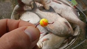 Рыбалка на пенопласт - почему она входит в моду? Какая рыба на него клюёт