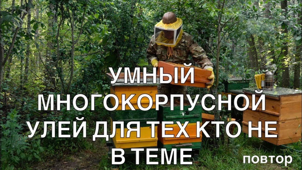 УМНЫЙ МНОГОКОРПУСНОЙ УЛЕЙ ДЛЯ ТЕХ КТО МЕ В ТЕМЕ. ПОВТОР.