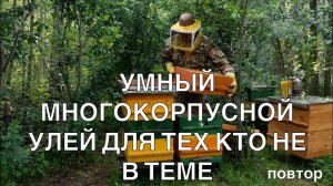 УМНЫЙ МНОГОКОРПУСНОЙ УЛЕЙ ДЛЯ ТЕХ КТО МЕ В ТЕМЕ. ПОВТОР.